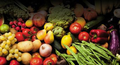Food Risk Summit