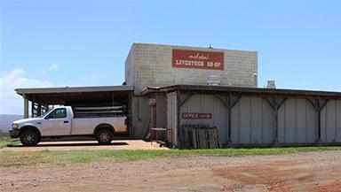 Molokai Livestock Co-op
