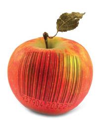 apple_brand.jpg apple_brand.jpg