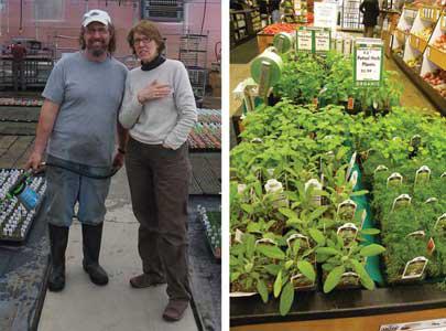 Left: Greenhouse Manager Eric Green and Gardens of Eagan Manager Linda Halley. Right: Plant starts on sale at Wedge Co-op. Left: Greenhouse Manager Eric Green and Gardens of Eagan Manager Linda Halley. R