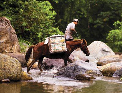 Man with horse Man with horse